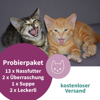 ARTGERECHT. Probierpaket für Kitten mit 16 Artikel - kostenloser Versand