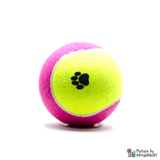 Tennisball Hunde Gelb Pink L Durchmesser 10 cm