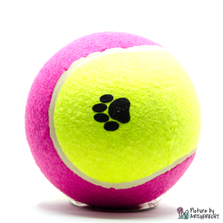 Tennisball Hunde Gelb Pink XL Durchmesser 15 cm