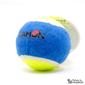 CAMON Tennisball für Hunde