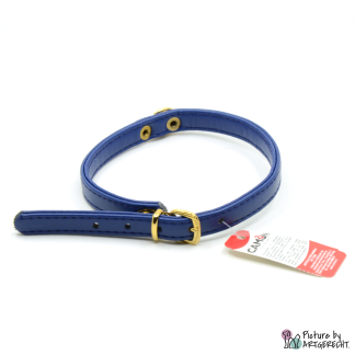 Camon, Halsband für Hunde, 1cm breit, blau