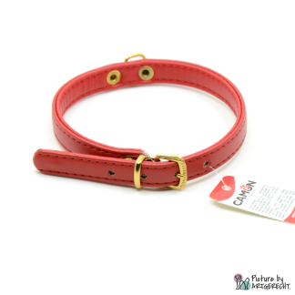 Camon, Halsband für Hunde, 1cm breit, rot