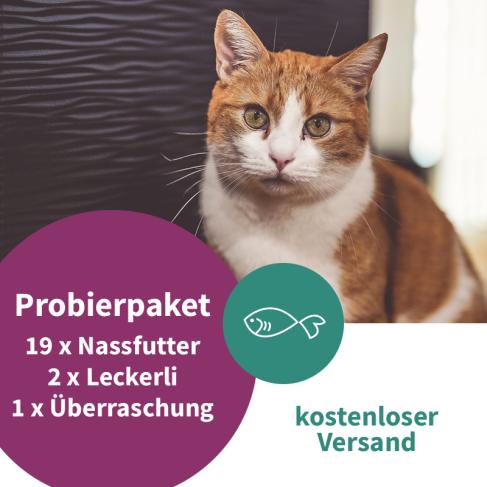 ARTGERECHT. Probierpaket für Katzen mit 21 Artikel - mit Fisch - kostenloser Versand